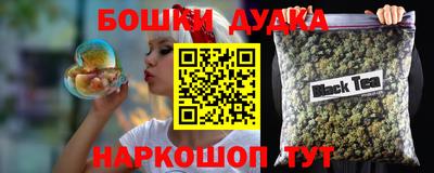 мдпв Камышлов