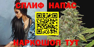 мдпв Камышлов