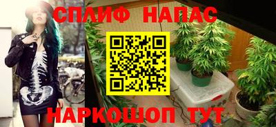 дживик Кандалакша