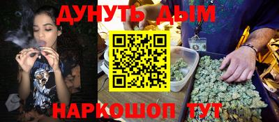 мдпв Камышлов