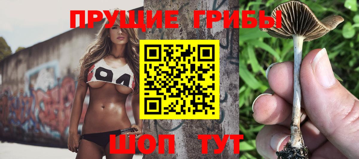 Галлюциногенные грибы мухоморы Лабытнанги