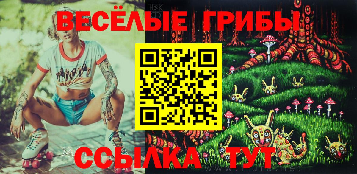 Псилоцибиновые грибы Psilocybe  где найти   Лабытнанги  Вход с VPN  Псилоцибиновые грибы Psilocybine cubensis 